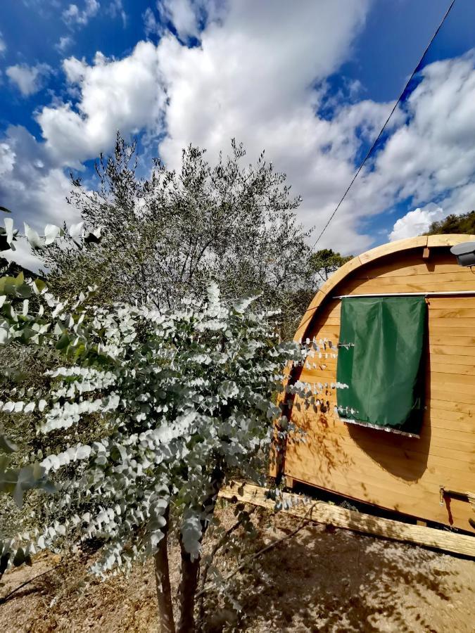Tiny Cottage Casa Uccello Apricale Bagian luar foto